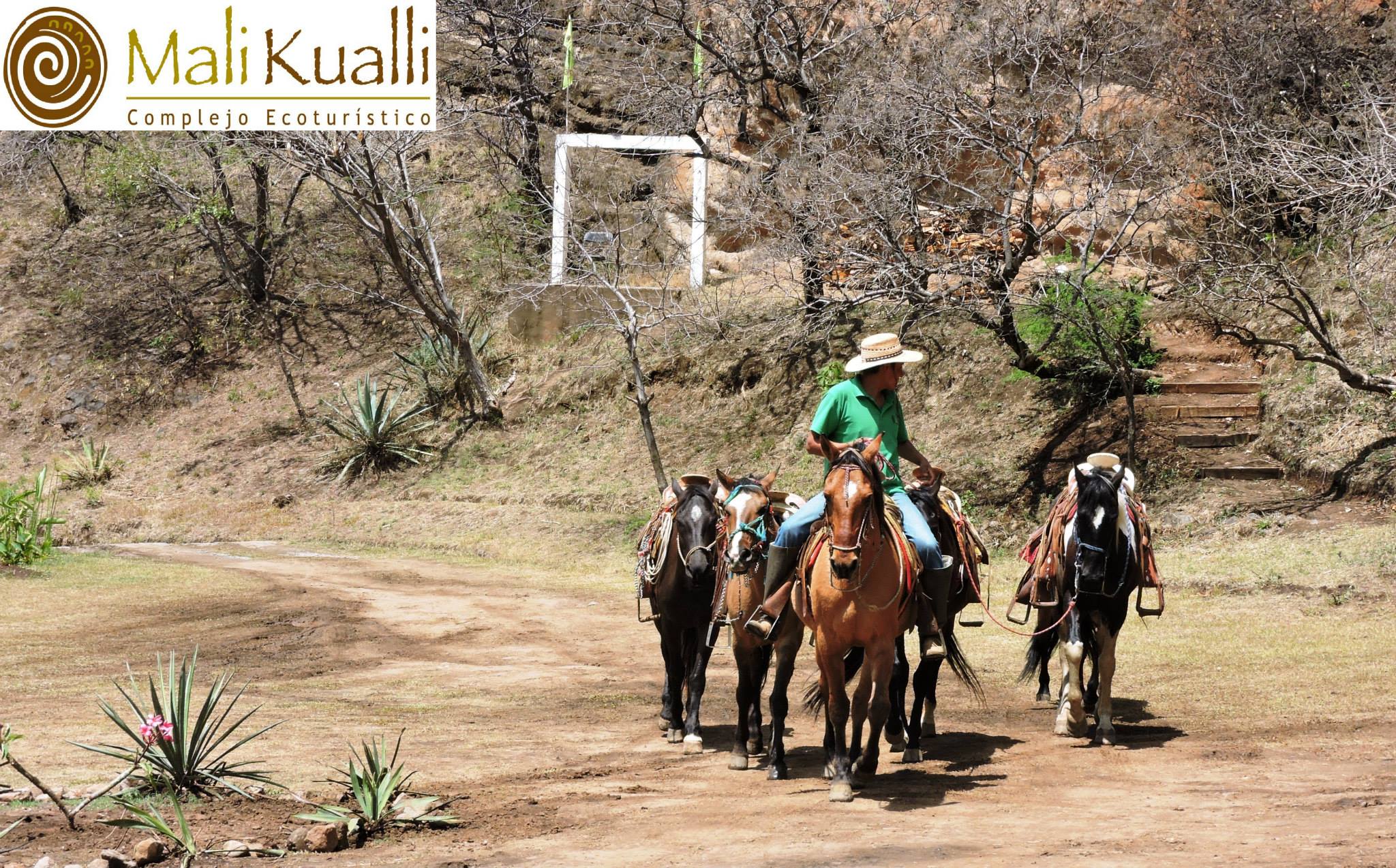 Senderismo y Cabalgata